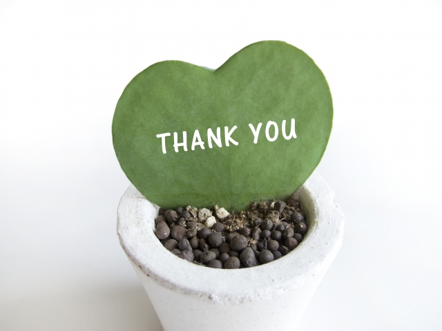 七五三のお祝いでお返しは親にもする どんな品物で相場は いつもここから