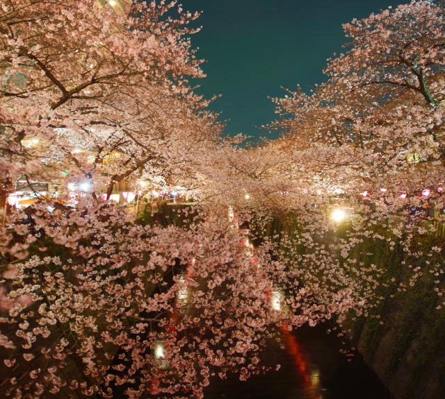 目黒川　桜祭り　ライトアップ